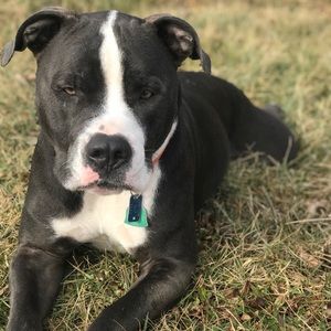 Meet your Posher, Lindsay